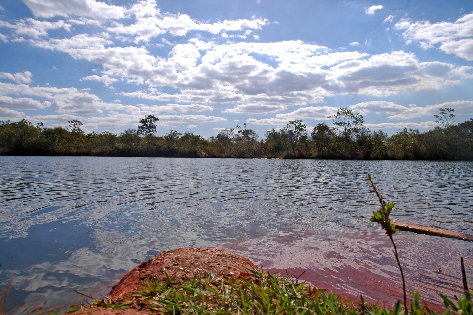 Lago e vegetação do parque — Parque Nacional de Brasília