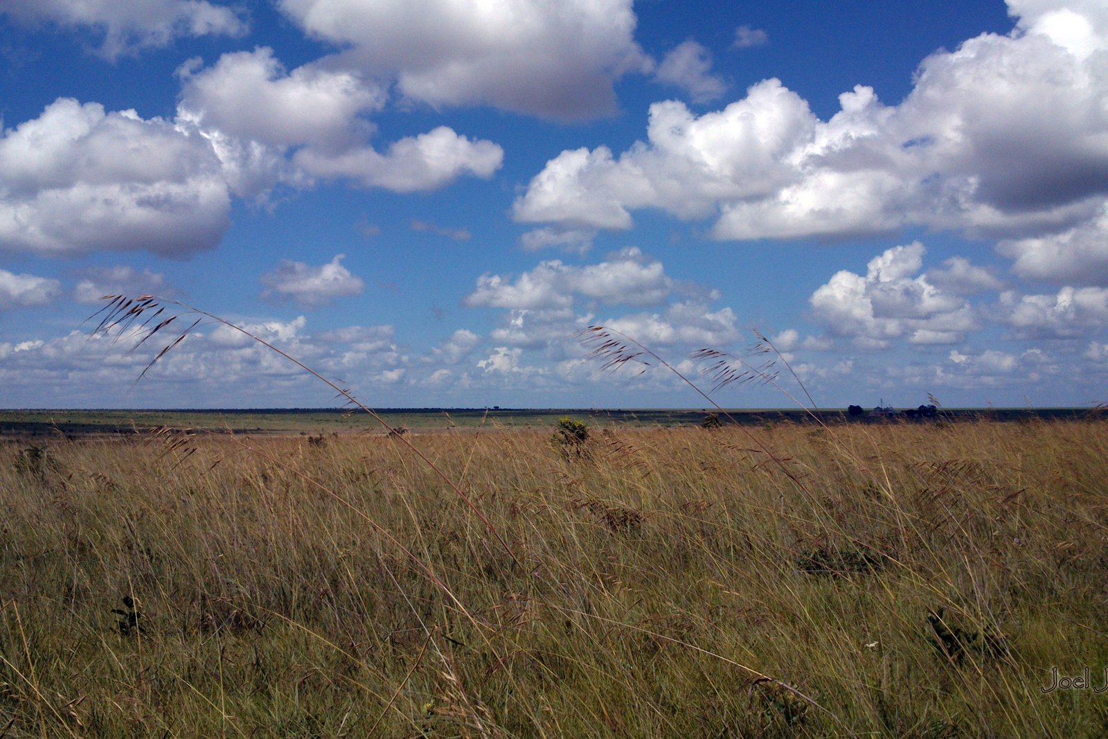 Campo limpo sob o céu do Cerrado — Parque Nacional das Emas