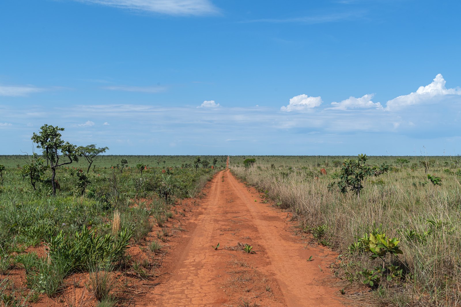 Caminho de terra entre os campos — Parque Nacional das Emas