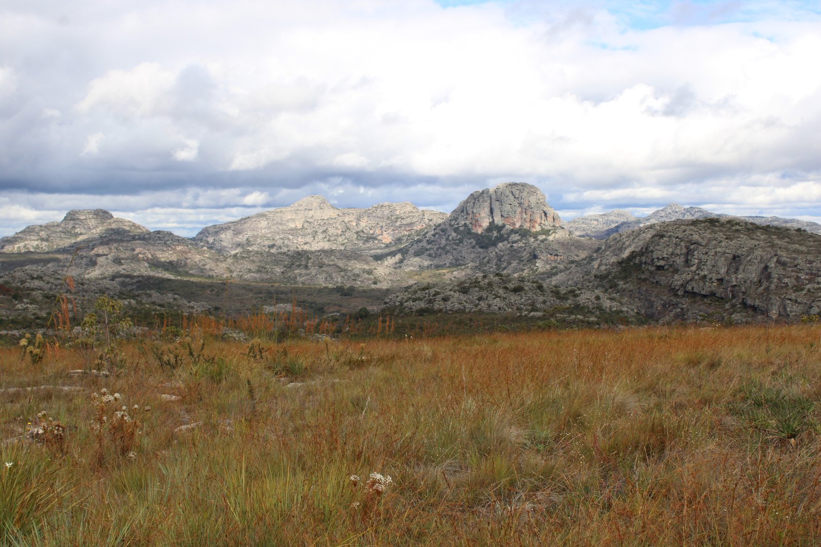 Campos rupestres em Diamantina — Parque Nacional das Sempre-Vivas