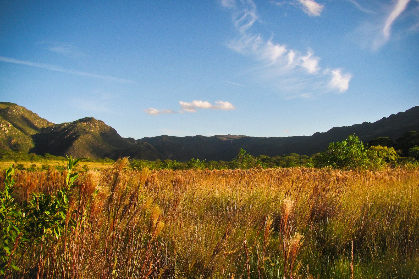 Campos rupestres da Serra do Cipó — Parque Nacional da Serra do Cipó